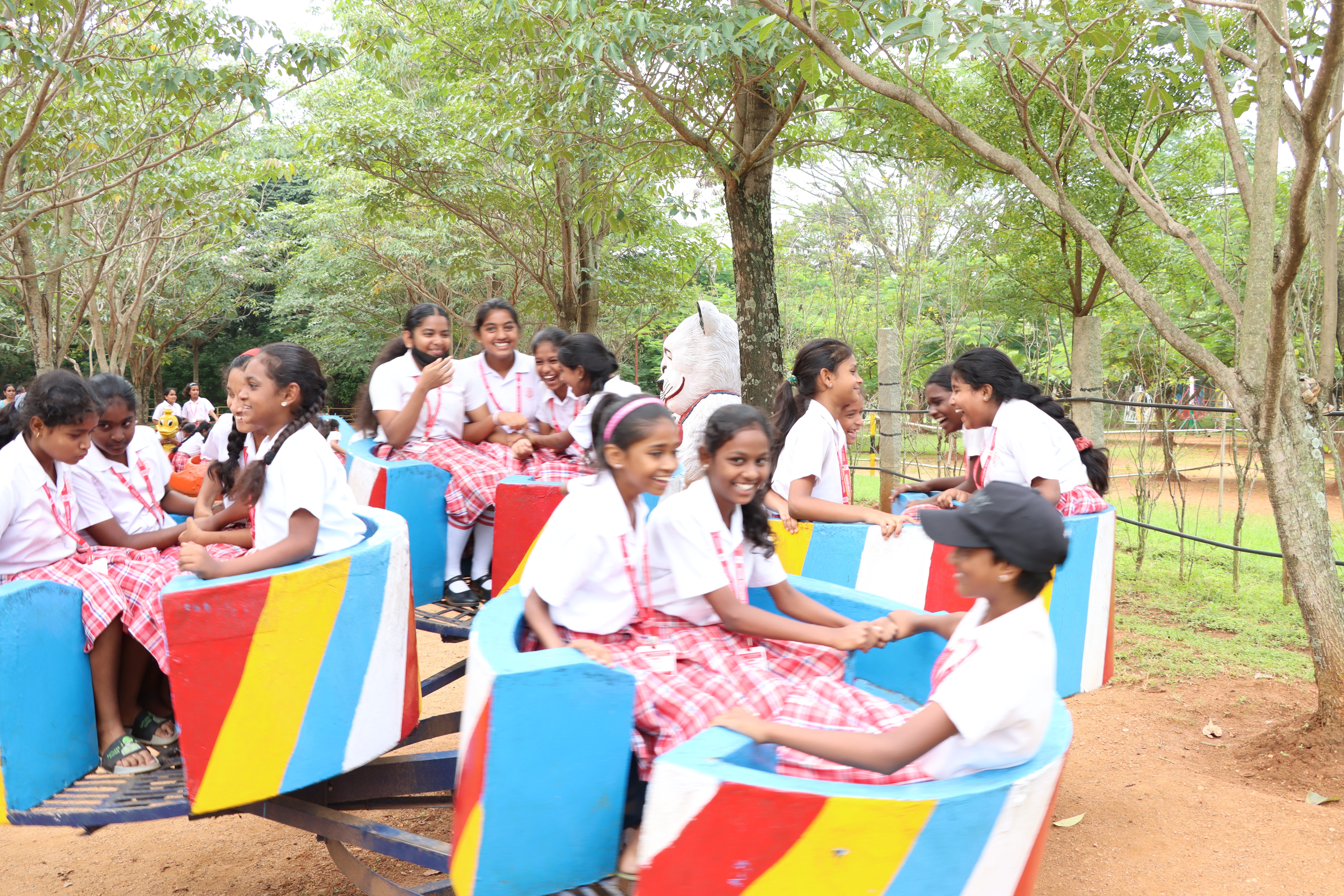 Picnic